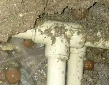 澄江测漏水多少钱