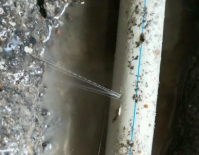 澄江测漏水哪家好