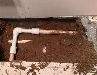 澄江测漏水哪家好