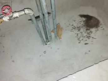 澄江卫生间测漏水价格明细