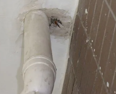 澄江漏水检测哪家好